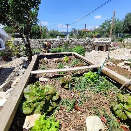 Holiday home Vivenda Montanha - Relax In Nature Alcaria (Leiria)