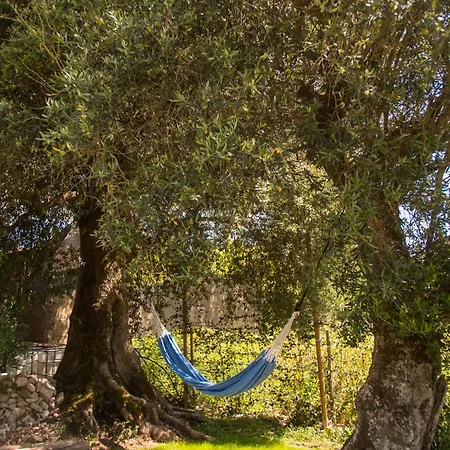 度假居 Vivenda Montanha - Relax In Nature *