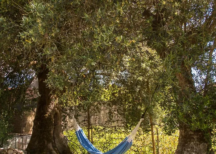 Casa vacanze Vivenda Montanha - Relax In Nature *